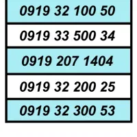 0919.211.31.61|سیمکارت|تهران, شیخ هادی|دیوار