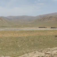 فروش طرح مرغداری