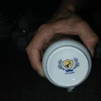 سرویس چینی