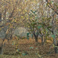 اعلام همکاری .تدارکات  تشریفات. حسابداری . مدیریت