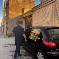 206 فرانسوی کمیاب و کم کار