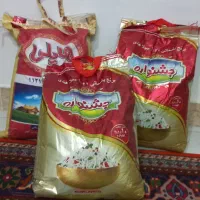 برنج هندی جشنواره