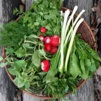 پاک کردن قرمه سبزی پذیرفته میشود