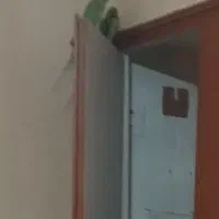 گمشده