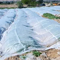 فروشگاه (کاور) و فوم کشاورزی مقاوم به هر گونه سرما