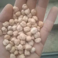 مواد غذایی