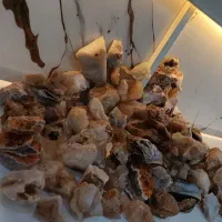 تعدادی سنگ قیمتی