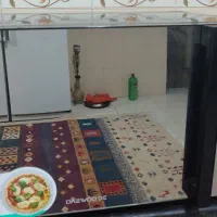 مایکرو ویو دیوو