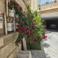 مغازه دو دهنه ۳۵متری