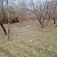 فروش زمین تجاری مسکونی در شهر ییلاقی رابر کرمان