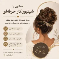 همکاری با شینیون کار