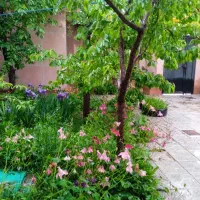 ویلا-برای-مسافران-گرامی