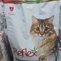 غذای حیوان خانگی سگ و گربه