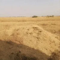 یک خرمن کاه درجه یک