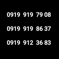 0919-0919