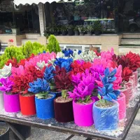 شریک برای تولیدی گل و گلدان انحصاری