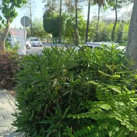 تور گردشگری ۱ روزه کاشان