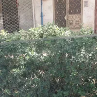 منزل ویلایی دربست رهن واجاره