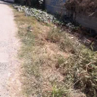 270-متر-زمین-دور-دیوار
