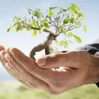 بیمه وبازنشستگی مبتنی بر طلا