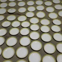 کارگر ساده برای گل زدن روی ارکوپال