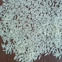 برنج طارم هاشمی