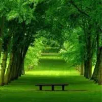 استخدام نانوا (شاطر) جهت کار در باغ رستوران