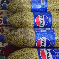 ترشی بنه