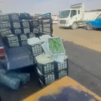 وانت بار