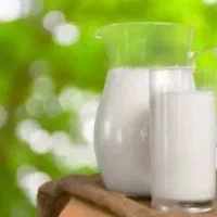 شیر پرچرب