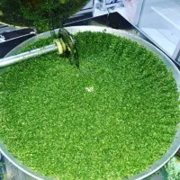 سبزی باغ محلی مطرانلو