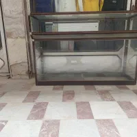 ویترین و مانکن سوزن خور