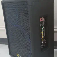 اکو همراه برین صوت مدل12250 با میکروفن بی سیم