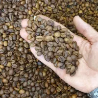 قهوه تازه‌رُست برای خانه