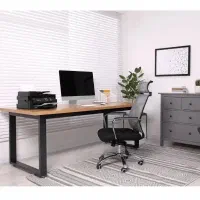 همکار حسابدار خانم