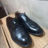 کفش مجلسی