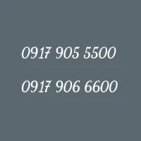 09179055500