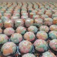 مارشمالو تازه ارسال عمده کل ایران