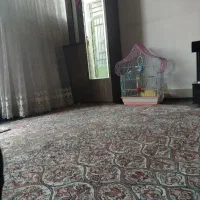 گمشده