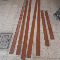 ۶ شاخ قرنیز نو