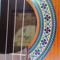 گیتار پارسی مدل m6