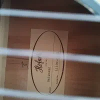 گیتار هافنر