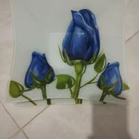 ظروف پذیرایی