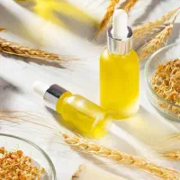 فروش روغن جوانه گندم ۱۰۰ درصد طبیعی