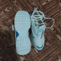 کفش اسپورت