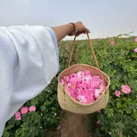 تور ۲ روزه کاشان و گلاب گیری از مازندران