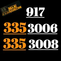 917335.3006..917335.3008