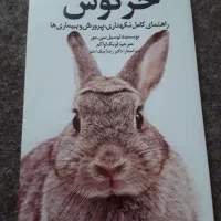 خرگوش و بچه خرگوش