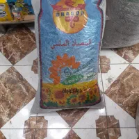 تخمه وارداتی چینی جامبو