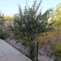 باغ-هزار-متری-چاه-رستمی-چاه-زینی